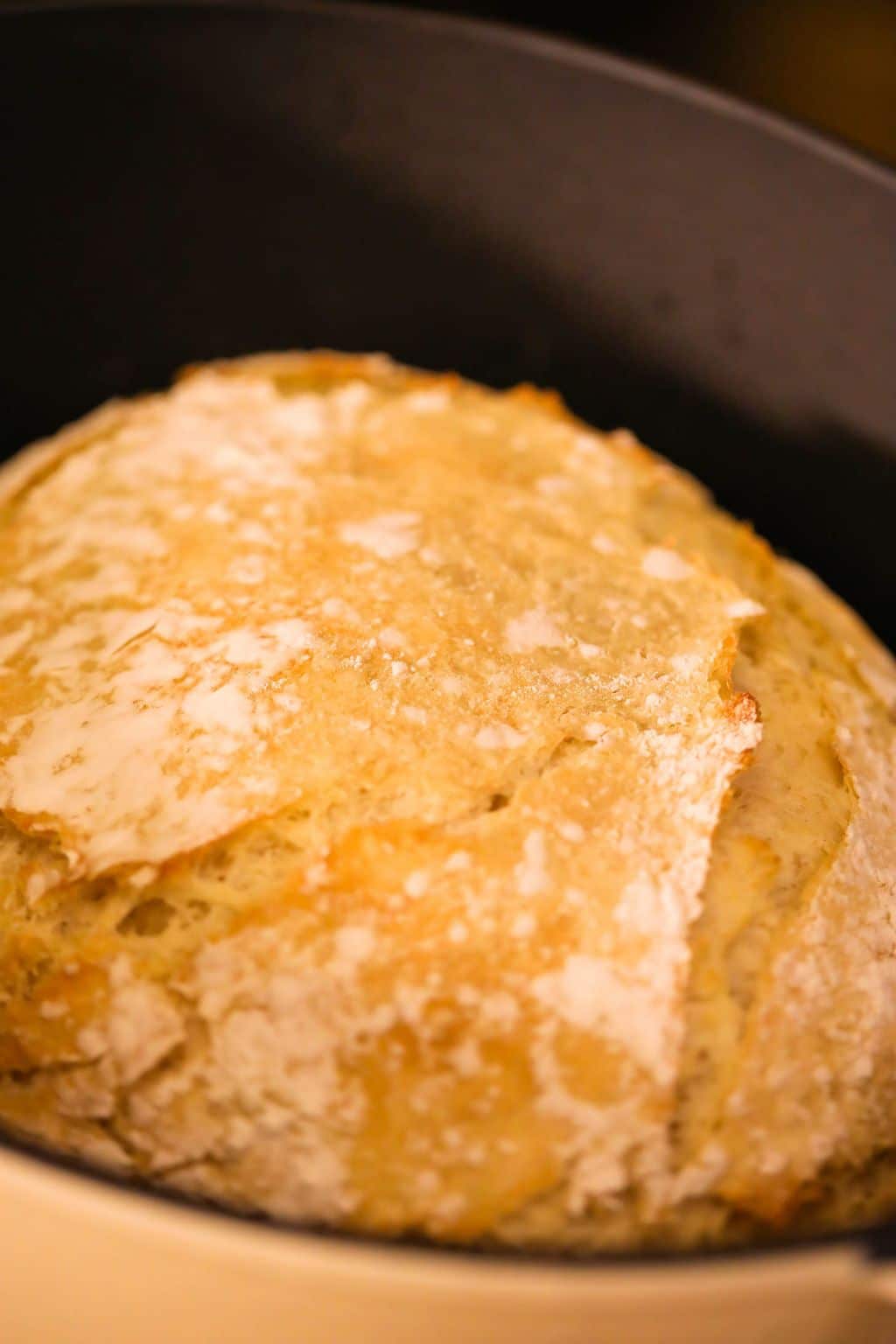 Easy Dutch-oven Bread - SideChef