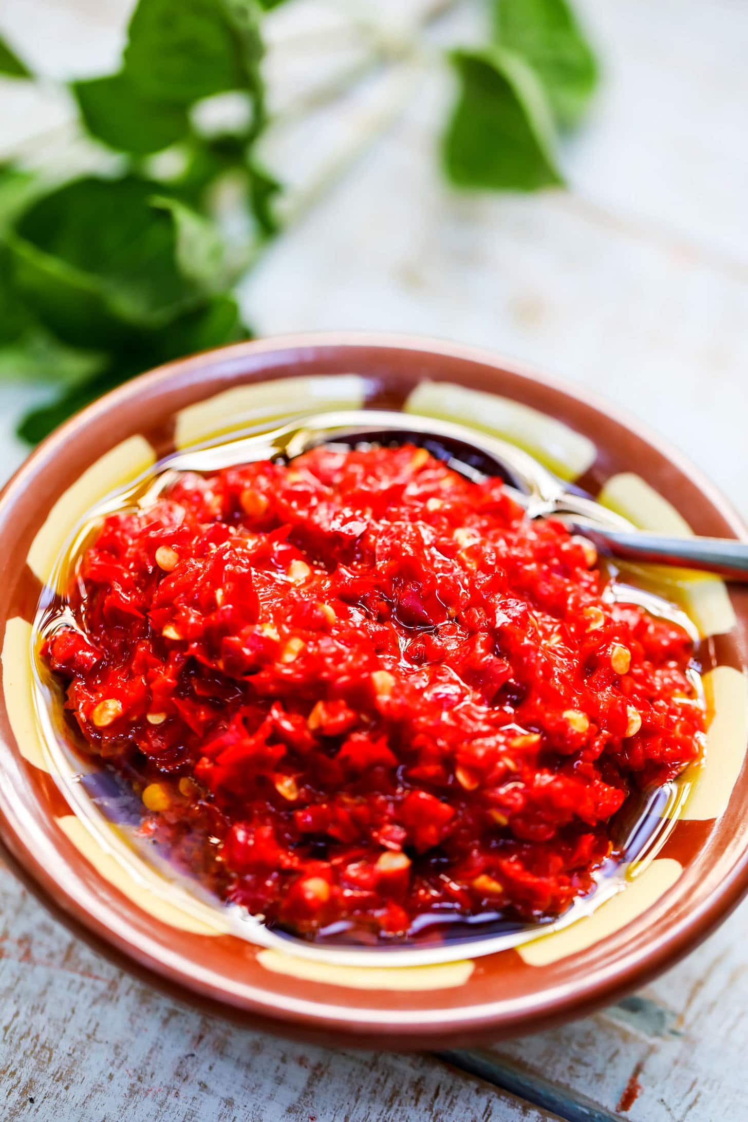 Harissa Recipe (North African peppers and spice paste)